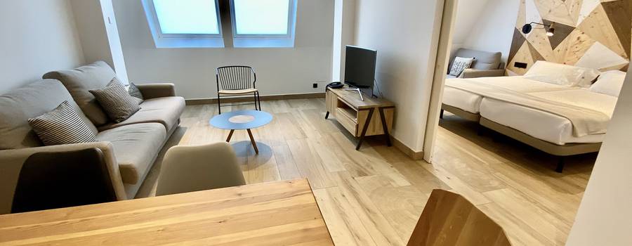 APPARTEMENT 1 CHAMBRE (5 PAX)